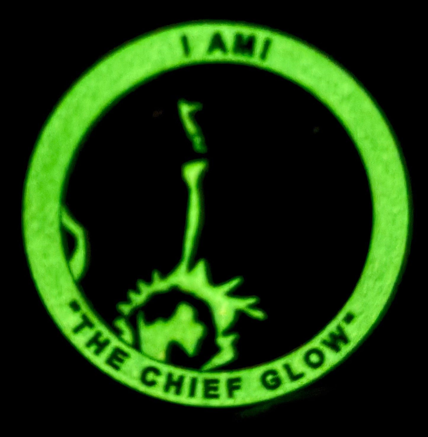 BGTLD “Who’s The Mastah Chief?” Glow-In-The-Dark Challenge Coin
